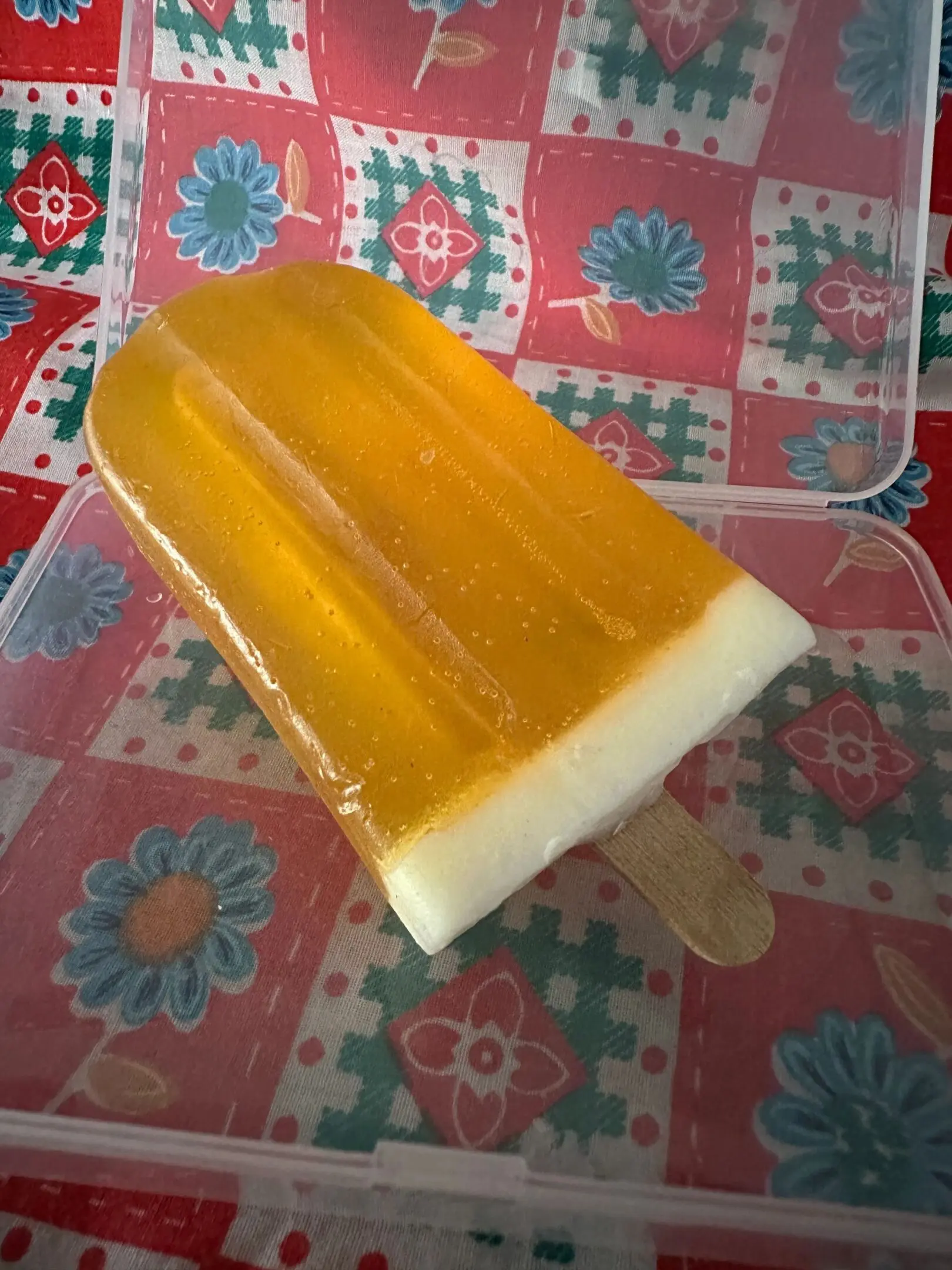 A popsicle sitting on top of a plastic container.